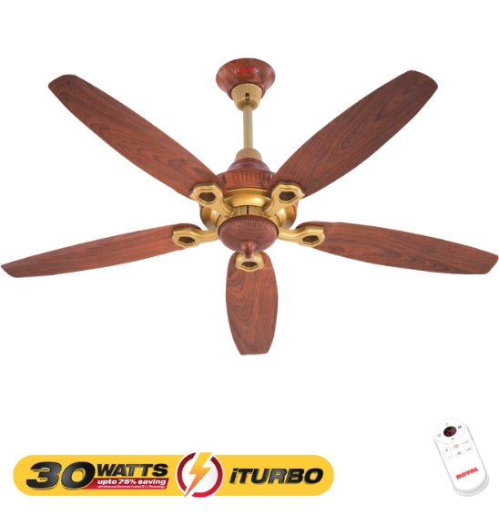 Ornament-iTurbo 30 watts Fan