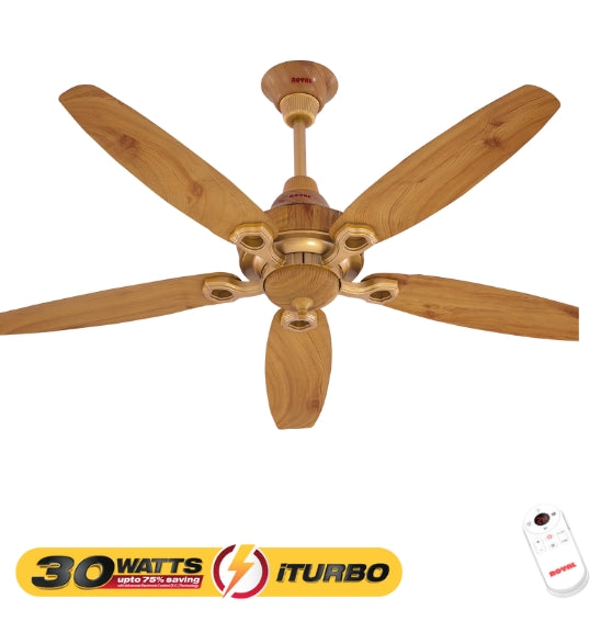 Ornament-iTurbo 30 watts Fan