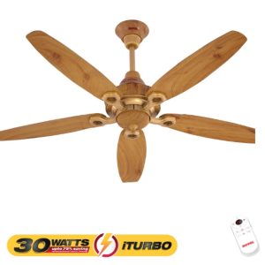 Ornament-iTurbo 30 watts Fan