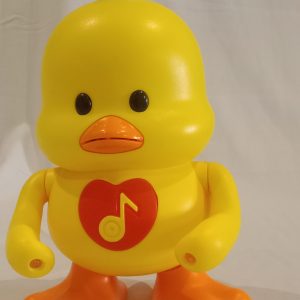 Beautiful charming Duck toy.